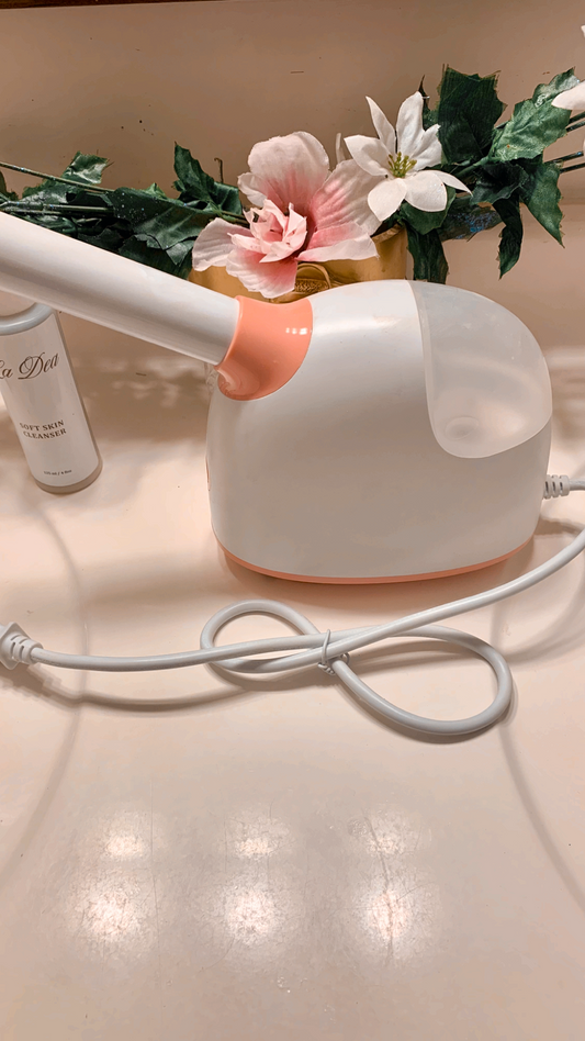 Face Steamer